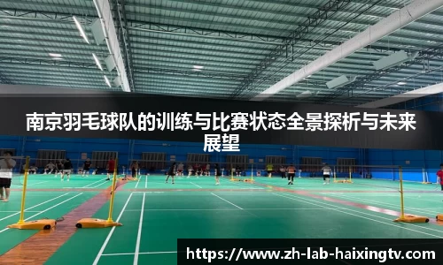 南京羽毛球队的训练与比赛状态全景探析与未来展望